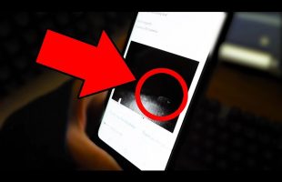 What happens when you leave a wifi camera in the forest