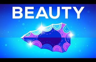 Why Beautiful Things Make us Happy – Beauty Explained
