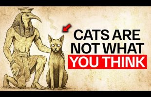 Thoth’s PROPHECY About Cats Is HAPPENING NOW (it’s crazier than expected)