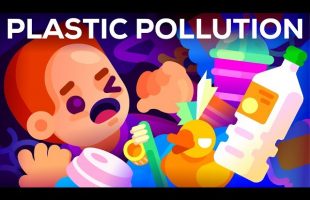 Plastic Pollution: How Humans are Turning the World into Plastic