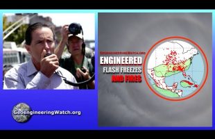 Geoengineering Watch Global Alert News, March 22, 2025, # 502 ( Dane Wigington )