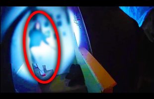 12 Year Old Does the Unthinkable to Her Little Brother