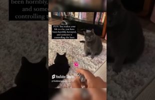 Even the Animals are Awakening!