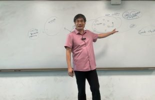 Civilization #5:  The Yamnaya Conquest of Europe