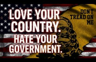 L💌VE Your Country. H🅰️TE Your Government.