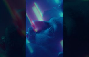 The Best Way to use Psychedelics 🍄