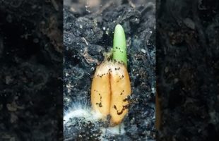 Be Mindful of Your Energy Usage 💛✨🙏