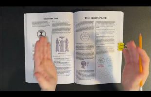 How the Seed of Life Reveals the 8 Laws That Govern Consciousness