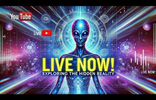 Simulation Talk #290