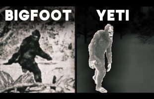 The Bigfoot & Yeti Files: Decades of Encounters and Investigations | Documentary