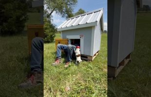Installing Hurricane Ties So Our Roof Won’t Fly Off In A Storm