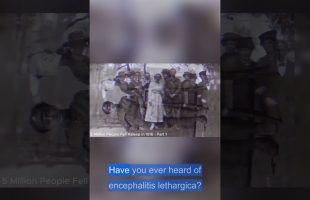 Were lied to? A hidden epidemic rebooted civilization #history #hiddenhistory #ancienthistory