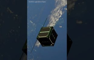 The World’s First Wooden Satellite?