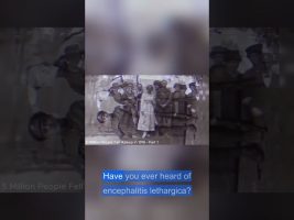 Were lied to? A hidden epidemic rebooted civilization #history #hiddenhistory #ancienthistory