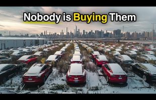 Americans Refuse to Buy EV’s… Why?