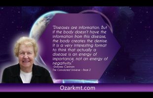 Diseases are information meditation