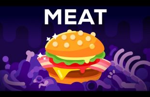 Why Meat is the Best Worst Thing in the World 🍔